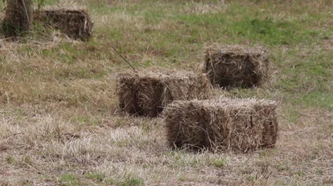 Three Hay bales Stock Footage 39735028