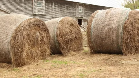 THREE HAY BALES Video stock 186580079
