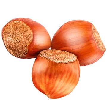 Three hazelnut isolated on white Stock Photos