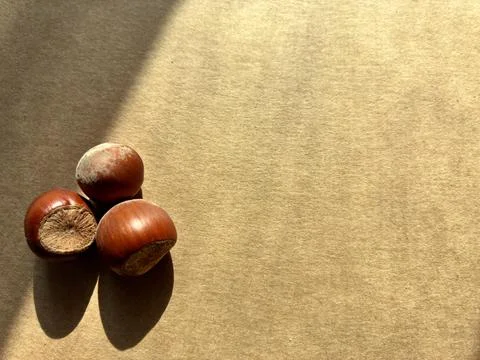 Three Hazelnuts with Long Shadows on Warm Paper with Copy Space Stock Photos