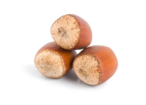 Three hazelnuts Stock Photos