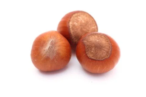 Three hazelnuts Stock Photos