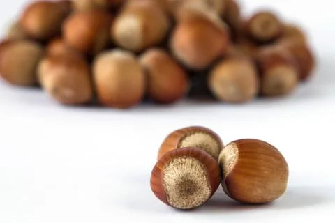 Three hazelnuts with pile of nuts on background Foto stock