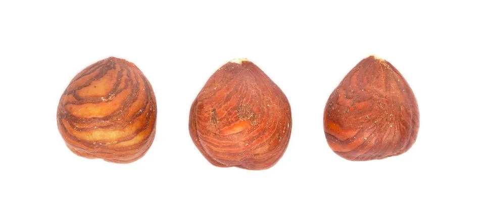 Three hazelnuts on a white background Stock Photos