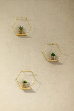 Three hexagonal wall planters hold small succulents, adding a touch of greene Stock Photos