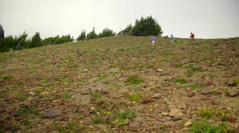 Three hikers in the distance Stock Footage 59567527