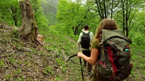 Three hikers-man and two women-walk away from camera in Himalayan forest Stock Footage 66525159