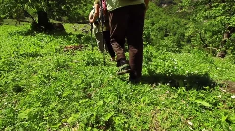 Three hikers-man and two women- walk away from camera in beautiful Himalayas Stock Footage 66525169