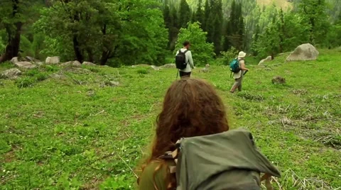 Three hikers-man and two women-walk away from camera in Himalayan field Stock Footage 66525174
