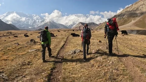 Three hikers walk across the plain past a small herd of yaks Video stock 208438133