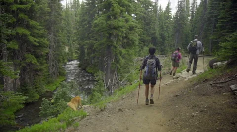Three hikers walk away from camera Stock Footage 59130730