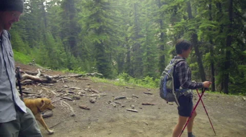 Three hikers walk past camera Stock Footage 59130499