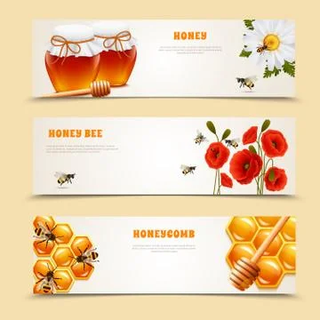 Three Honey Banner Set 库存插图