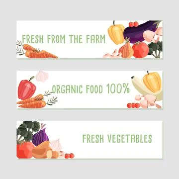 Three horizontal banner templates with fresh organic vegetables Stock Illustration