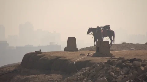 Three horses stand on the precipice of a mountain. For the mountain in the haze  Video stock 76214183