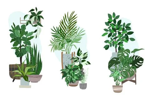 Three house plants sets, potted tropical plants Stock Illustration