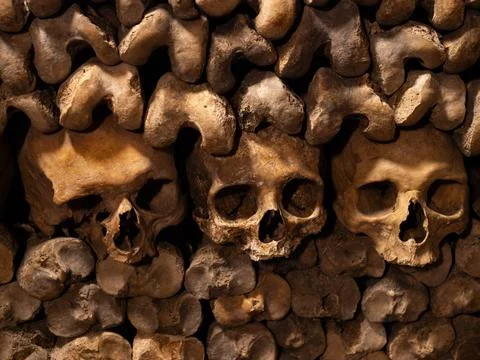 Three Human Skulls in Paris Catacombs Fotos Stock