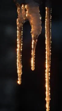 Three icicles on a dark background close up Stock Photos