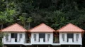 Three Identical Houses in Kata Beach in Phuket Island, Thailand, Palm Tree HD Footage