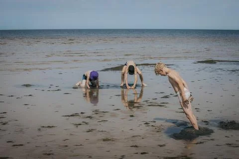 Three individuals exploring tidal pools on a sandy beach, one person crouch.. Stock Photos