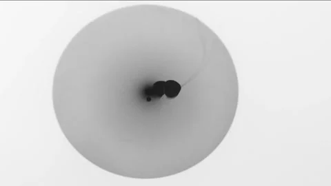 Three ink black drops blur on white surface forming abstract background. Stock Footage 255285268