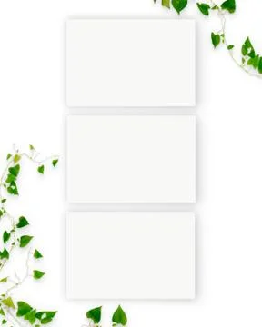 Three Interior horizontal rectangular poster mockups with plant and decoratio Stock Photos