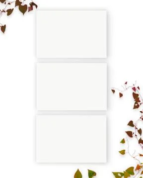 Three Interior horizontal rectangular poster mockups with autumn plant and de Stock Photos