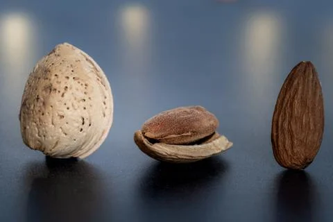 Three isolated almonds standing up on a dark table Stock Photos
