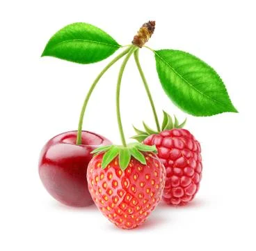 Three isolated berries Stock Photos