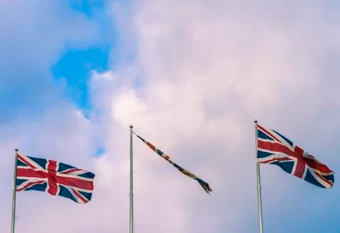 Three jacks blue Stock Photos