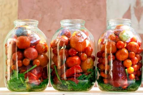 Three jars with ripe red tomatoes with herbs ready to pickle making, standing Stock Photos