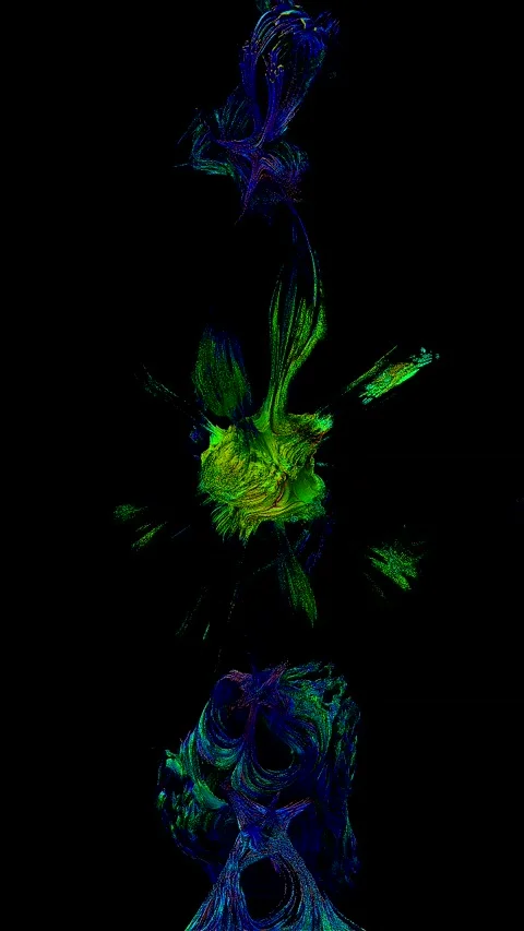 Three jellyfish in space Stock Footage 165619541