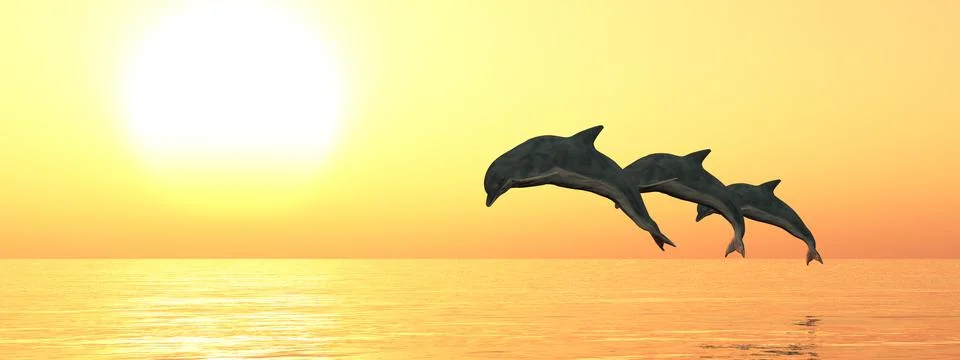 Three jumping dolphins at sunset Stock Illustration