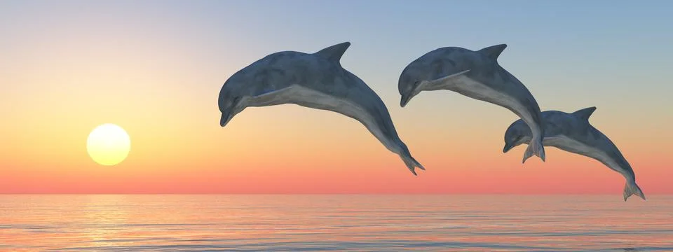Three jumping dolphins at sunset Stock Illustration