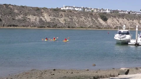 Three kayakers move about calm back channel with docked boats and coastal cli Video stock 67591296