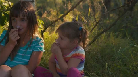 Three kids are cheerfully playing with flowers Stock Footage 54254878