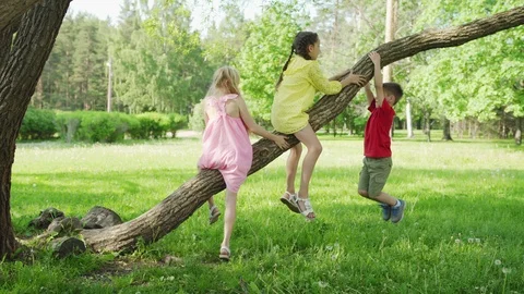 Three kids climbing a tree Stock Footage 111917772