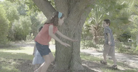 Three kids playing catch around a big tree Stock Footage 55326711