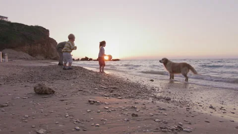 Three kids playing with dog at the beach Stock Footage 225535618