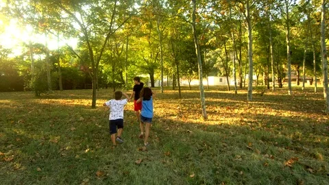 Three kids playing on the woods Stock Footage 94497006