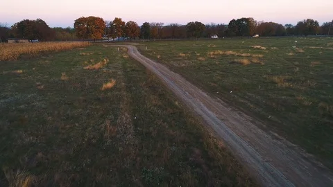 Three kids riding bikes on a path leading towards the highway, filmed with a  Stock Footage 113098226