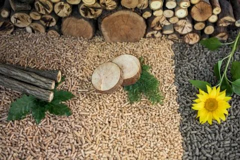 Three kind of pellets Stock Photos