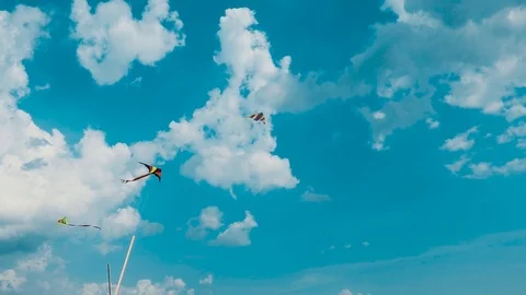 Three kites on ropes Vídeo Stock 113179207