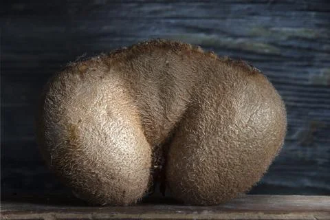 Three Kiwis Creating New Shape Melting Stock Photos