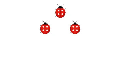Three ladybugs walk Stock Footage 311841846