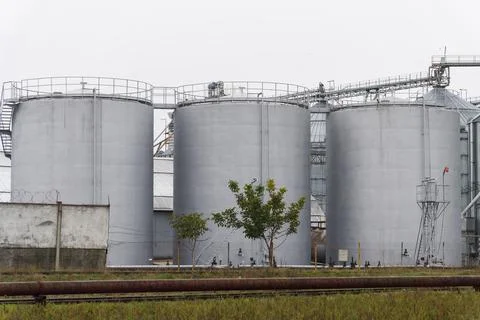 Three large, cylindrical storage tanks stand prominently at a grain processing Stock Photos