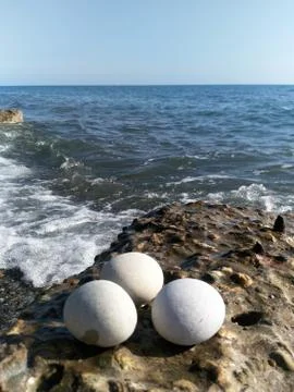 Three large round white stone eggs lie on the coastal concrete boulder breakw Stock Photos