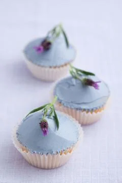 Three lavender cupcakes Stock Photos