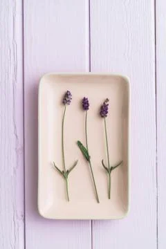 Three lavender flowers Foto stock