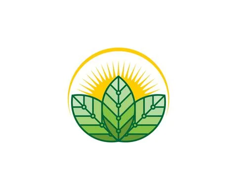 Three leaf with sunrise behind Illustrazione stock